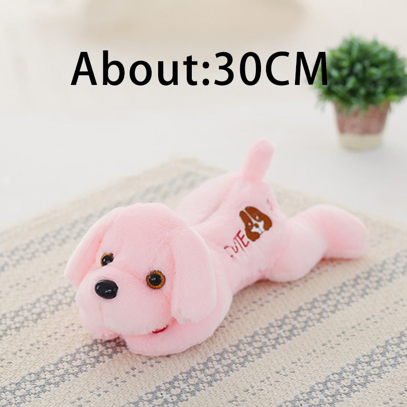 Adorable light up dog plush toy! colorful LED glowing dogs children toys for girl kidz birthday gift WJ445