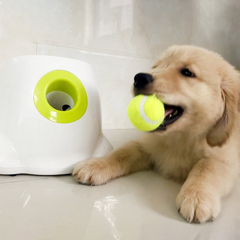 Catapult Dog Ball Launcher! Tennis Ball Launcher Will Keep Your Dog On The Go.
