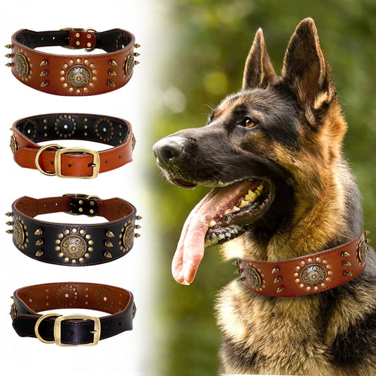 Totally cool collar! Studded leather for your outdoor dog. Large and X-Large make a statement