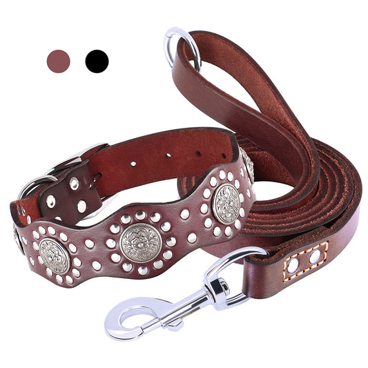 Luxury Real Leather Dog Collar and Leash Set. 60 Inch Lead for Medium Large Dogs German Shepherd