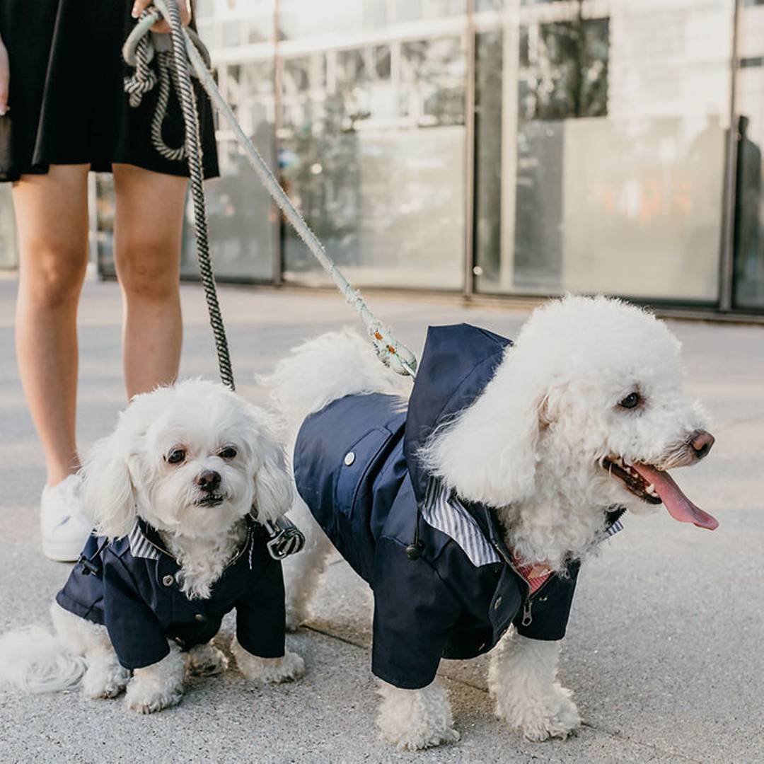 Pet Dog Raincoat Windproof and Rainproof! Super water repellant and great for your outdoor loving pooch. Yellow Puppy Hoodies Jacket Multi-size Suitable for Large, Medium and Small Dog Clothes