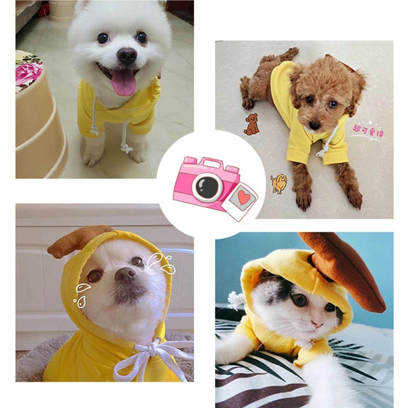 Cute Fruit Dog Clothes for Small Dogs hoodies Warm Fleece Pet Clothing Puppy Cat Costume Coat for French Chihuahua Jacket Suit