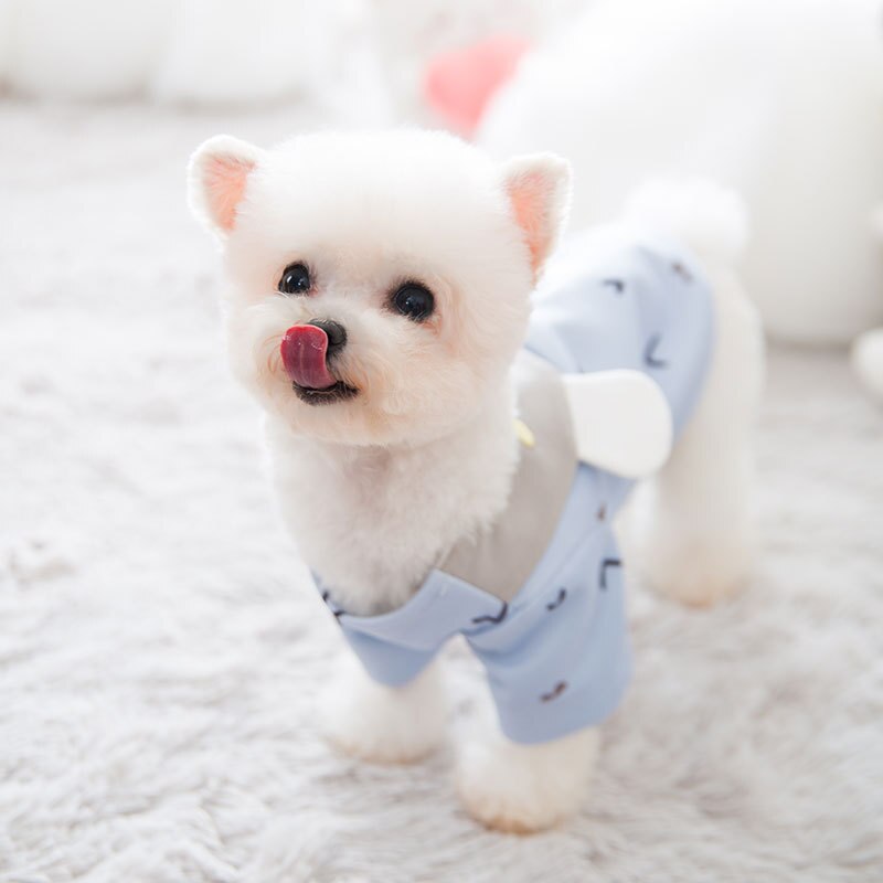 Cute Print Small Dog  Coat Winter Warm Pet Clothes for Chihuahua Shih Tzu Sweatshirt Puppy  Pullover Dogs Pets Clothing