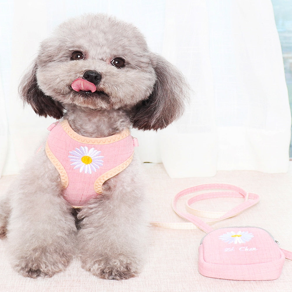 Its a harness, but more. Small/Medium dogs will love this adjustable Set w/leash. Snack bag included and adorable.