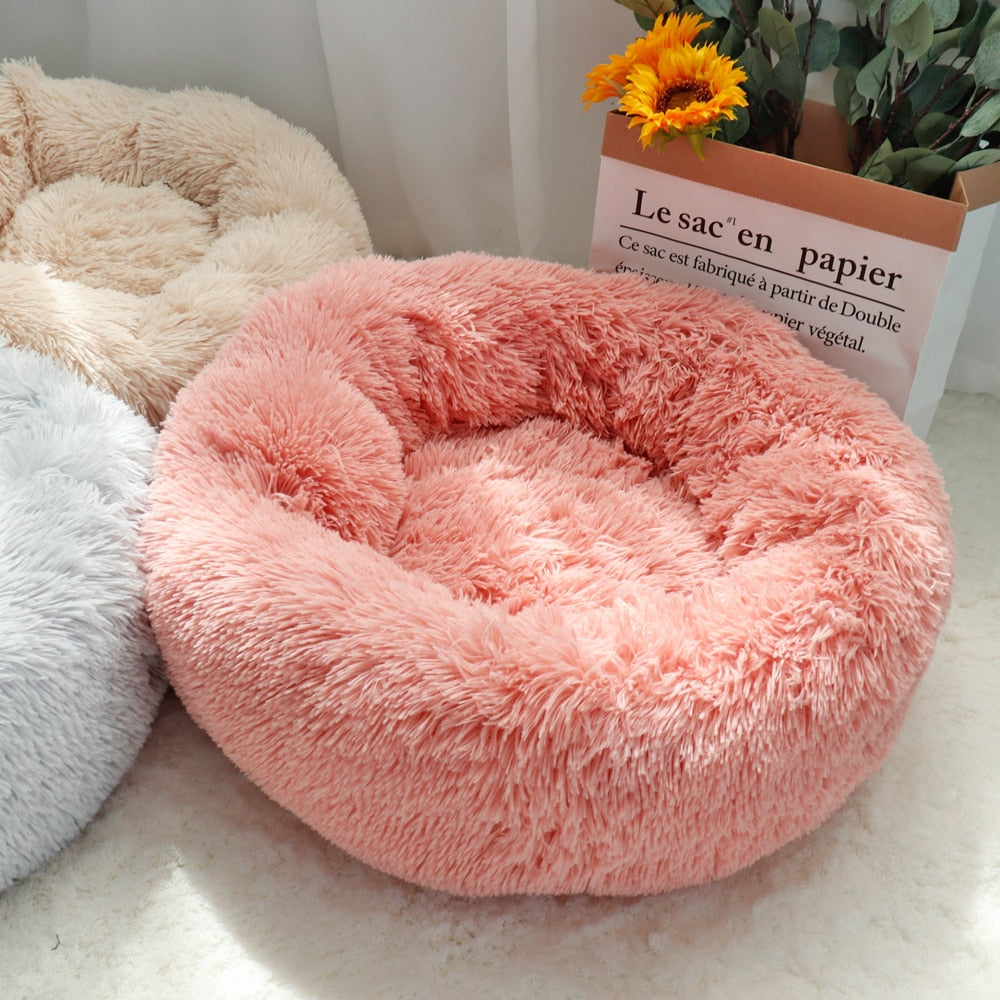 Funky and Fun round dog bed. Plush and comfortable for your pet or puppy