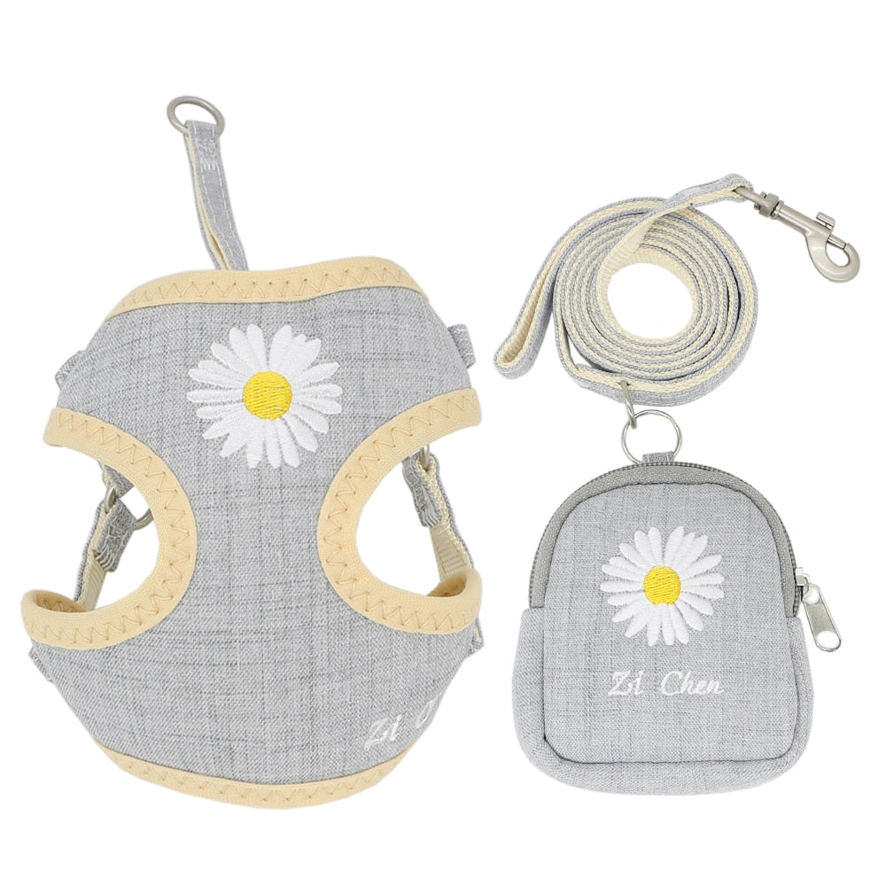 Its a harness, but more. Small/Medium dogs will love this adjustable Set w/leash. Snack bag included and adorable.
