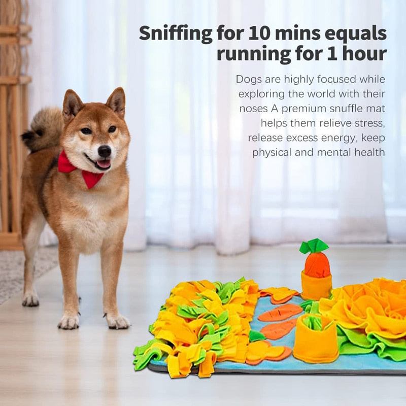 Amazing snuffle mat toy. Slow Feed for Dog and Pup. Interactive for hours of play