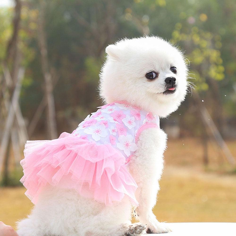 Lace Chiffon Dress for Small, Medium, or Large Dogs. Lovely Floral Dress Pet Party Birthday Costume Dog Wedding Dress Cute Dog Clothes in Summer