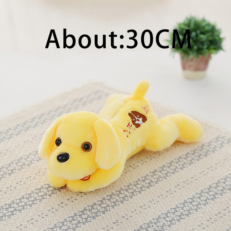 Luminous dog plush doll with colorful LED glowing dog. Great decoration, for kids room, just fun.