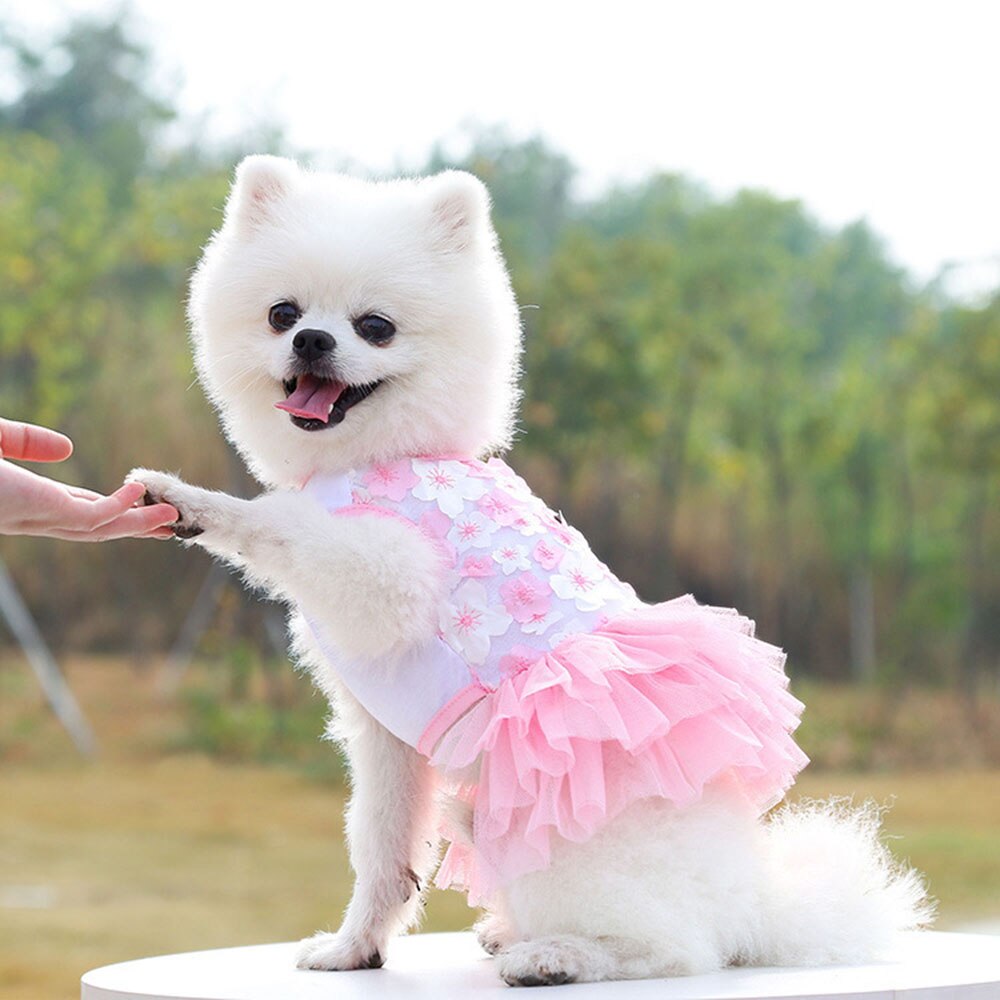 Lace Chiffon Dress for Small, Medium, or Large Dogs. Lovely Floral Dress Pet Party Birthday Costume Dog Wedding Dress Cute Dog Clothes in Summer