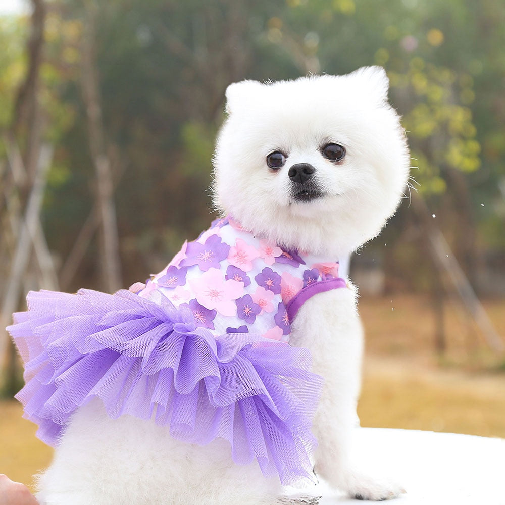 Lace Chiffon Dress for Small, Medium, or Large Dogs. Lovely Floral Dress Pet Party Birthday Costume Dog Wedding Dress Cute Dog Clothes in Summer