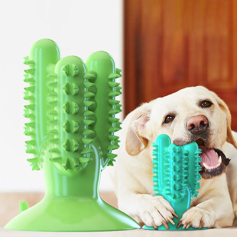 Bite Resistant Dog Toothbrush Pet Molar Tooth Cleaning Brushing Stick Dog Toy Dog Chew Toys Doggy Puppy Dental Care Pet Supplies