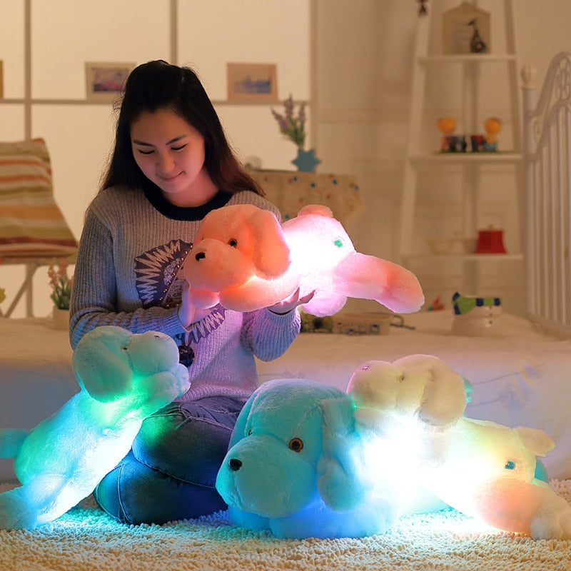 Luminous dog plush doll with colorful LED glowing dog. Great decoration, for kids room, just fun.